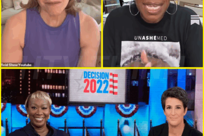 Joy Reid reveals ‘real’ reasons for her departure from MSNBC… … “IT WAS ALL ABOUT MADDOW”