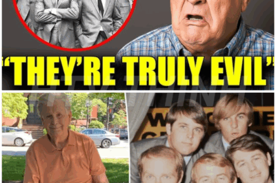 Before he died, Brian Wilson FINALLY confessed this about The Beach Boys