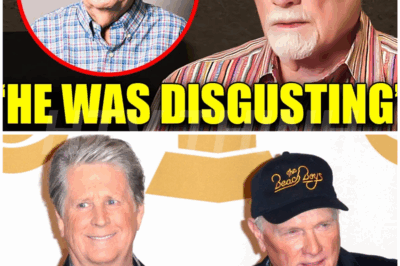Mike Love FINALLY Confirm The Rumors About Brian Wilson