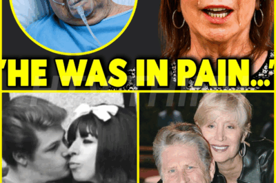 After His Death, Brian Wilson’s Ex-Wife Breaks Her Silence, Leaving Fans SHOCKED