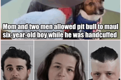 Terror in Georgia: 6-Year-Old Boy Mauled by Pit Bull After Being Handcuffed by His Own Mother in Shocking Act of Abuse