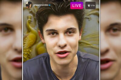 Shawn Mendes Finally Speaks On Breaking Up With Camila Cabello – HTT