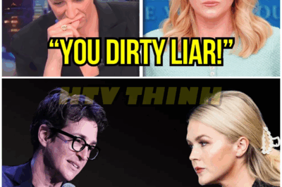 Maddow FLIPS OUT After Leavitt Reveals SECRET RECORDING! – HTT