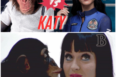 😳 Katy Perry Couldn’t Handle This: The SHOCKING Training Regimen of NASA’s First Space Chimp!