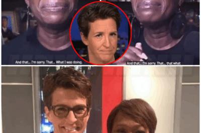 🌈 – Joy Reid claims ‘horrified’ MSNBC bosses pressured her to stop social media posts before she was fired