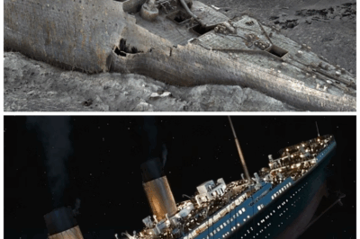 Forget Everything You Knew About the Titanic — A Hidden Fire, Greed, and Lies May Have Doomed the ‘Unsinkable’ Ship!