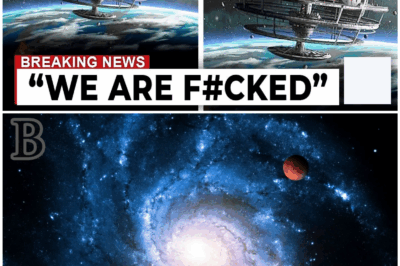 🛸 Voyager 2’s Chilling Encounter at the Solar System’s Edge – Could This Be Something NOT of This World?