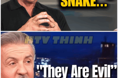 Sylvester Stallone Names The Five Actor He HATED Most – HTT