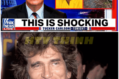 Michael Landon’s Hidden Cabin Was Finally Unlocked, Here’s What They Found Inside – HTT