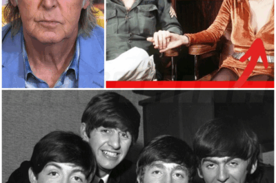 🌈 – At 82, Paul McCartney FINALLY SETS the Record Straight