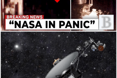 **🛸 Voyager 1 Just Encountered the IMPOSSIBLE – Scientists Can’t Explain What It Found in Deep Space!