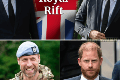 Prince William’s subtle confession sparks fresh speculation about royal rift with Harry