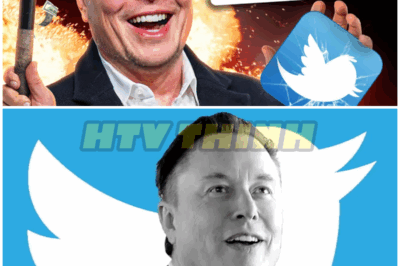 Elon Musk Just Destroyed The Twitter Board! – HTT