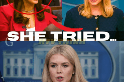 The Usual CNN Reporter