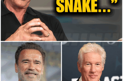 ☄️ – Sylvester Stallone Names The Five Actor He HATED Most