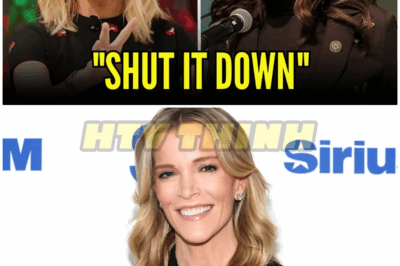 Jasmine Crockett DESTROYS Megyn Kelly in Heated Debate – Audience Couldn’t Believe Her Words – HTT
