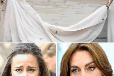 💔 Pippa Middleton Divorced Her Husband – Now We Finally Know the Shocking Reason Why! 😱📢