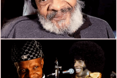 The Secret Struggle of Sly Stone: What the World Never Knew Until After His Death
