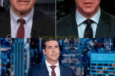 FOX NEWS