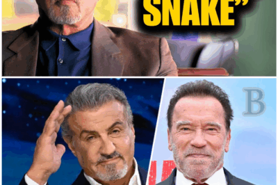 💥 “I’d Never Work With Them Again!” — Stallone Names 5 Actors He HATED in Brutal Takedown 😳💣