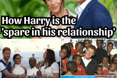 Prince Harry’s Royal Isolation Deepens: Fallout From Charity Collapse Exposes Rifts, Regret, and a Prince at a Crossroads