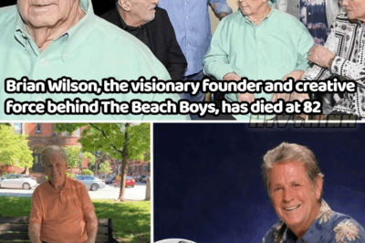 Brian Wilson, Legendary Beach Boys Founder, Dies at 82: A Music Icon’s End Marks the Close of an Era