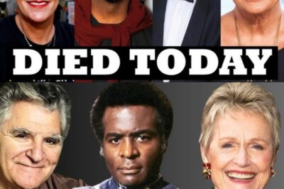Hollywood Horror Unfolds: 7 Iconic American Actors Found Dead Today – The Chilling Connection No One Saw Coming on June 20, 2025! In this article, we pay tribute to these iconic figures, reflecting on their careers and the joy they brought to audiences around the globe.