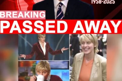 A Dark Day for Fans Everywhere: 7 World-Renowned Celebrities Mysteriously Pass Away on the Same Day — The Internet in Shock. In this article, we will share the heartbreaking news about seven famous celebrities who have passed away today.