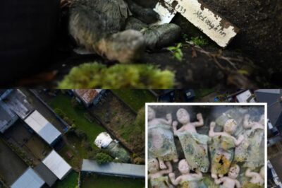 Shocking Hidden History: 796 Forgotten Children May Lie Beneath Abandoned Religious Care Home — Investigators Horrified by Findings: She stated, “I don’t care if it’s a thimbleful; at six months old, it’s mainly cartilage more than bone.”