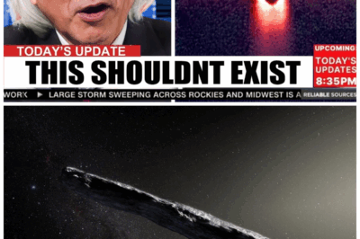 “It’s Not a Comet!” Michio Kaku Reveals Shocking Evidence of Alien Technology in ‘Oumuamua