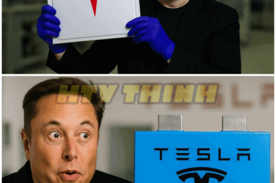 Finally Happened! Elon Musk UNLOCKED 1000 Miles Range With NEW Lithium Metal Battery Soon! – HTT
