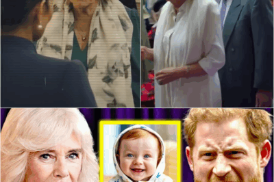 😱🚨 DNA Test CONFIRMS the Shocking Truth: Queen Camilla Lied About Prince Harry for Years – Royal Scandal Explodes! 👑🔥