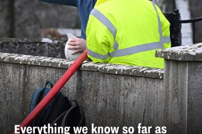 As the forensic team searches for the remains of almost 800 infants interred at a previous ‘mother and baby home,’ we are uncovering everything known to date.