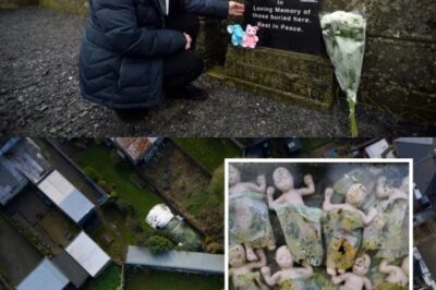 Silent Cries Beneath the Ground: Investigators Suspect Mass Secret Resting Place at Former Nuns’ Home for Young Women: She stated, “I don’t care if it’s a thimbleful; at six months old, it’s mainly cartilage more than bone.”
