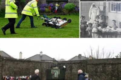 The Forgotten Angels: Nearly 800 Tiny Victims Believed to Be Concealed Below Infamous Institution Once Run by Devout Caretakers: She stated, “I don’t care if it’s a thimbleful; at six months old, it’s mainly cartilage more than bone.”