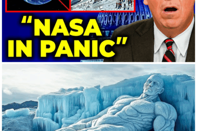 Scientists Make IMPOSSIBLE Discovery in Antarctica That Changes Everything We Know About Earth