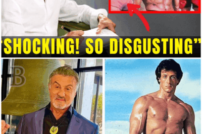 🤯 “He Held NOTHING Back!” — Stallone’s The Steps Drops Bombshells, Hidden Photos, and the Side of Sly You’ve NEVER Seen 🧨📸