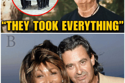 🕊️ “You Don’t Know the Real Story” – Tina Turner’s Husband Finally Opens Up and It Changes EVERYTHING 💣