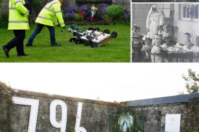 Unveiling a Chilling Mystery: Hundreds of Infant Remains Feared Discovered Beneath Historic Mother & Baby Home — Authorities in Shock: She stated, “I don’t care if it’s a thimbleful; at six months old, it’s mainly cartilage more than bone.”