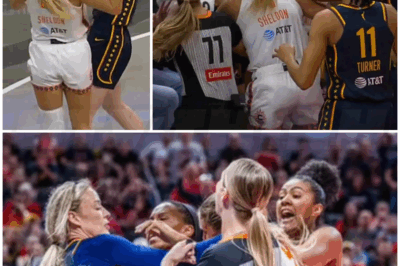 🌈 – Massive brawl in the Indiana Fever vs Connecticut Sun game