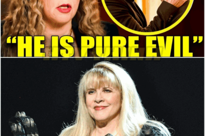 At the age of 76, Stevie Nicks speaks out about Lindsey: ‘I Just Couldn’t Handle It’