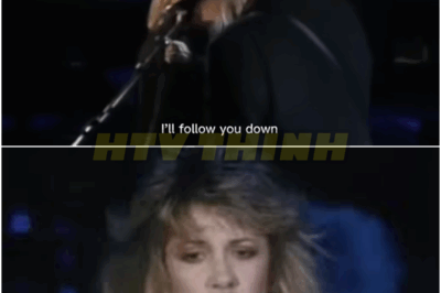The manner in which Stevie gazes at Lindsay during this rendition of “Silver Springs”.