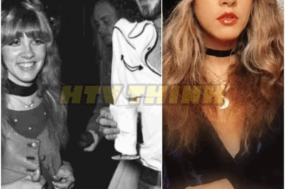 Stevie Nicks stated, “I composed Silver Springs regarding Lindsey.”