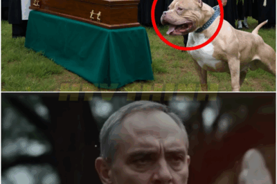 A dog barks at a coffin during a funeral, prompting a man to question why the priest appears anxious and…