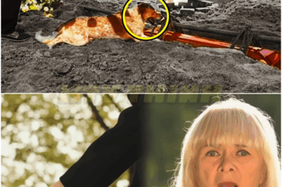 The dog continued to bark at its owner’s coffin. When they opened it, the onlookers let out screams of terror!