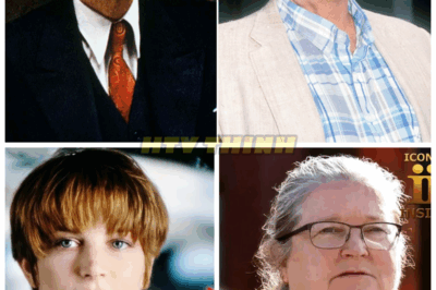 🔥They Were Mega Stars — But Suddenly Gave It All Up For A Quiet Life You Won’t Believe 😱 They were once the biggest names in Hollywood, dominating red carpets and headlines, but then… they just walked away. What made these stars abandon the spotlight at the peak of their fame? Some of the reasons are shocking and heartbreaking 👇
