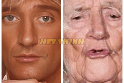 🔥50 Famous Male Singers From the Golden Age of Pop—Their Current Lives and Appearances Will SHOCK You Beyond Words, Especially Number 17’s TransformationThey were gods of music, but what happened next is rarely talked about—until now. Their shocking before-and-afters are too wild to ignore👇