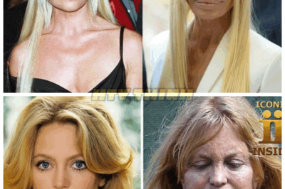 😱25 Celebrities Who Aged So Badly You Won’t Believe What They Look Like Now—Some Are Completely Unrecognizable and the Internet Can’t Stop Talking About ItThey once graced magazine covers and red carpets, but time hasn’t been kind—and their shocking transformations will leave you stunned👇