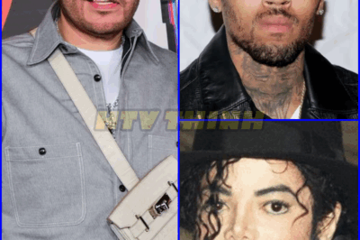 🎤🔥 Fat Joe Breaks Silence: “If Chris Brown Hadn’t Faced Controversy, He’d Be the Michael Jackson of Our Time” — A Bold Call to Reassess the Star’s Legacy After 20+ Years! 👑🎶