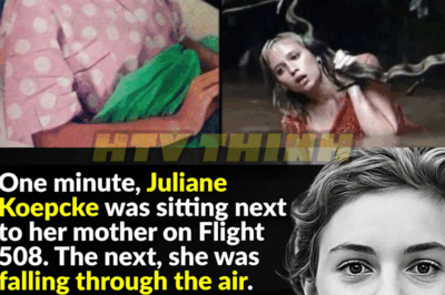 Juliane Koepcke’s Unbelievable Survival Story